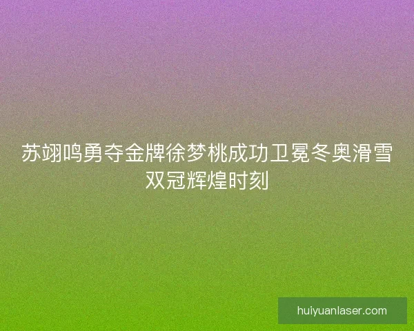 苏翊鸣勇夺金牌徐梦桃成功卫冕冬奥滑雪双冠辉煌时刻