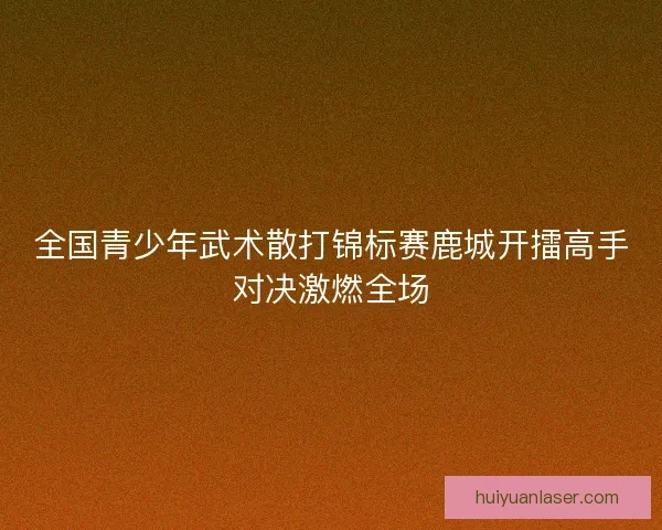 全国青少年武术散打锦标赛鹿城开擂高手对决激燃全场