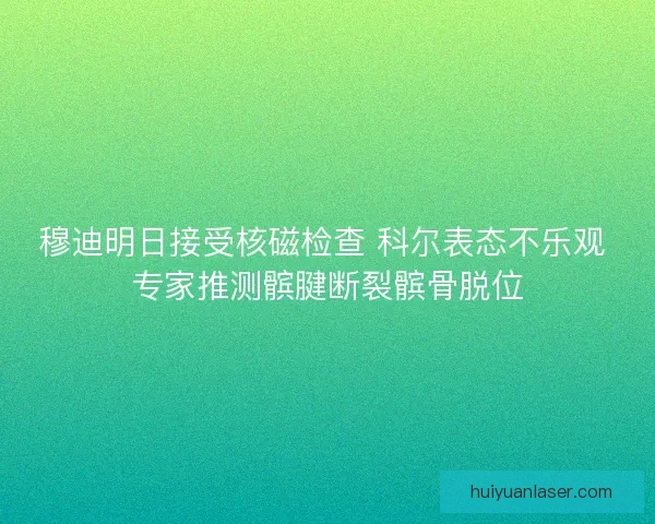 穆迪明日接受核磁检查 科尔表态不乐观 专家推测髌腱断裂髌骨脱位 穆迪明日接受核磁检查 科尔表态不乐观 专家推测髌腱断裂髌骨脱位